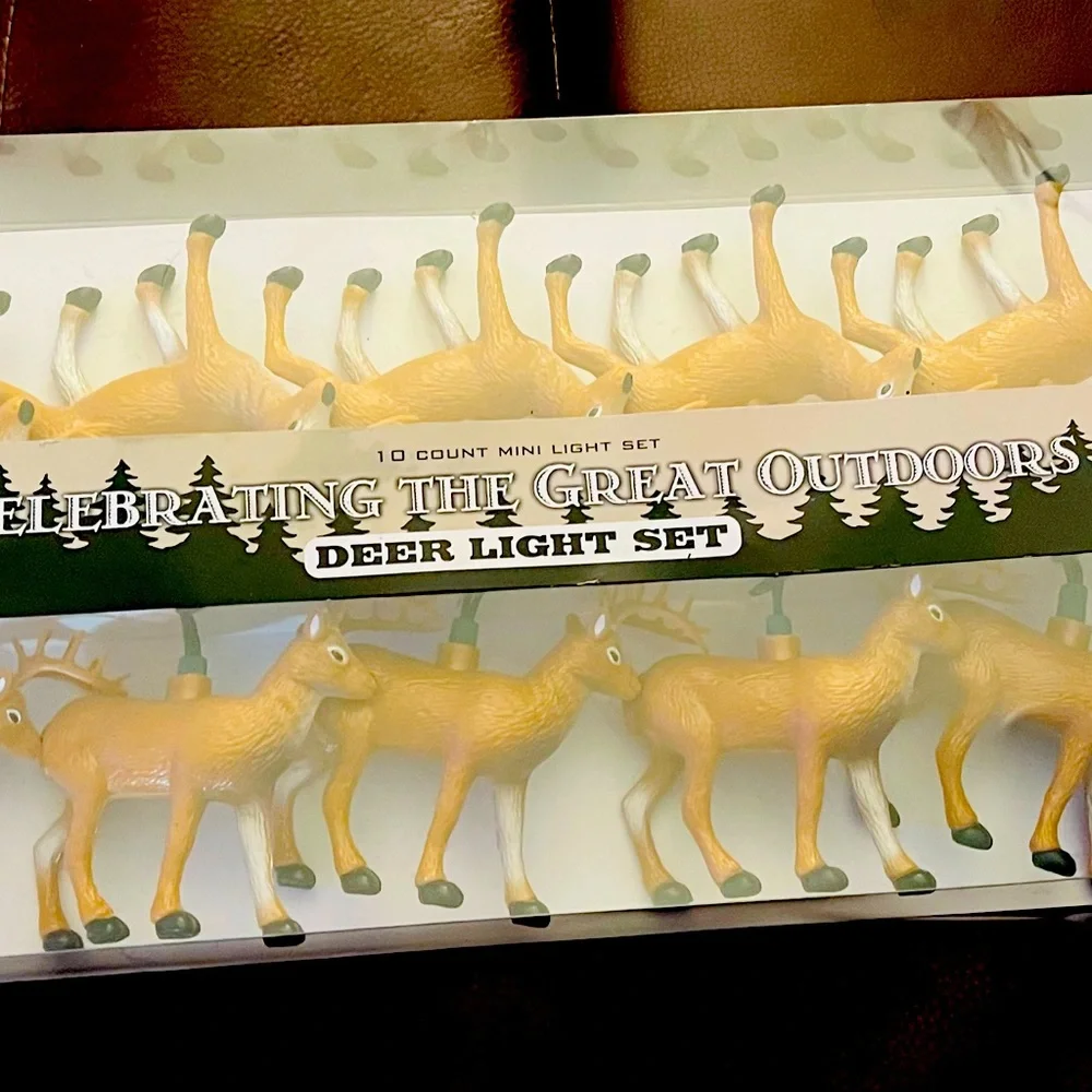 Party Lights